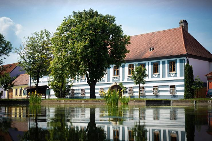 Wine tasting with Nikolaihof winery