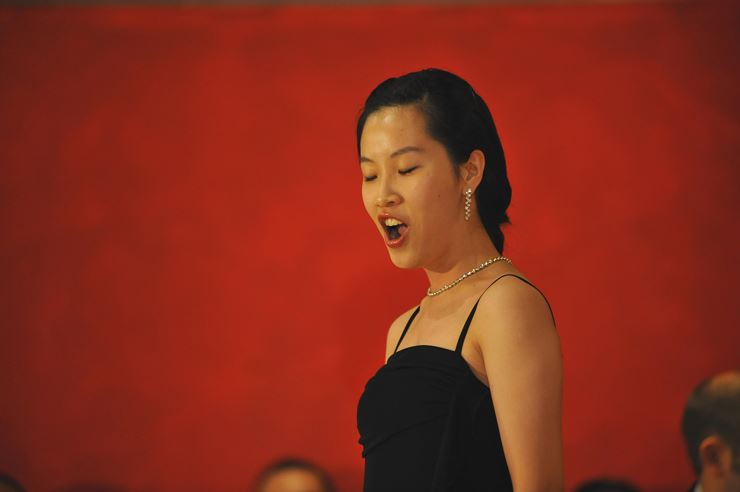 KONZERT PROFESSIONALS IN CONCERT