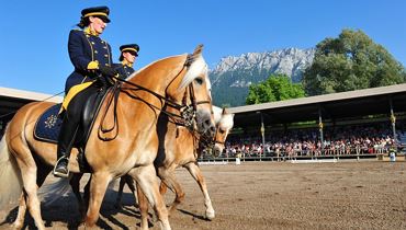 Haflinger Weltausstellung