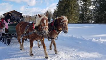 Winterliche Kutschenfahrt in Ebbs
