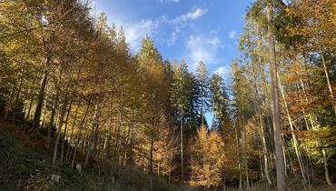 Walk & Talk – Il movimento incontra la consulenza nutrizionale